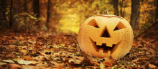 Halloween_category